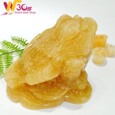 Thiềm Thừ Phong Thủy Ngọc Hoàng Long